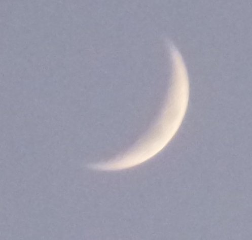Nymånen syns som ett tunt, belysat komma mot den tidiga kvällshimlen.