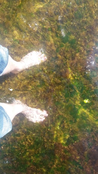 20180420_125504[1].jpg