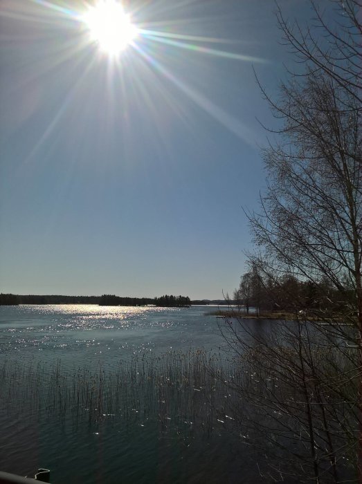 WP_20180421_10_30_14_Pro_LI.jpg