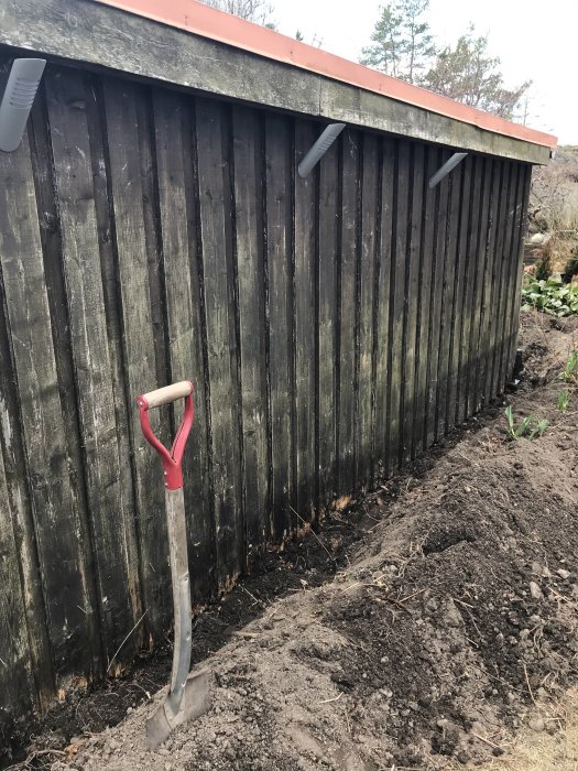 Ruttna träplankor i nederkant av ett garage med uppggrävd rabatt och en spade i förgrunden.