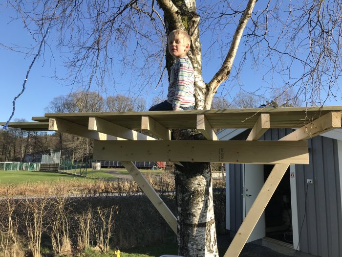 Barn sitter på en trädkoja under uppbyggnad, omgivet av träd och en klarblå himmel.