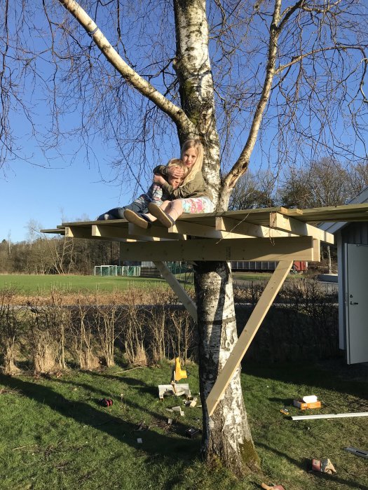 Två barn sitter i en nybyggd trädkoja runt en björkträd, med byggmaterial nedanför.