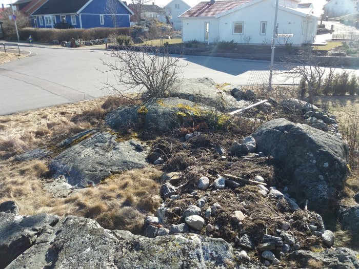 Klippig trädgårdstomt med stenar och torrt gräs som ska anläggas för insynsskydd.