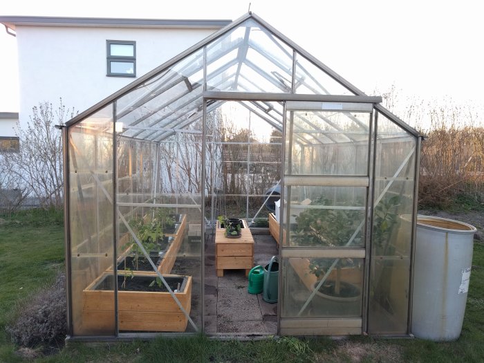 Växthus med citronträd, tomat- och gurkplantor i lådor och pallkragar förberedda för odling.