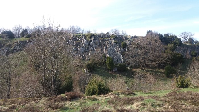 20180422_163711.jpg