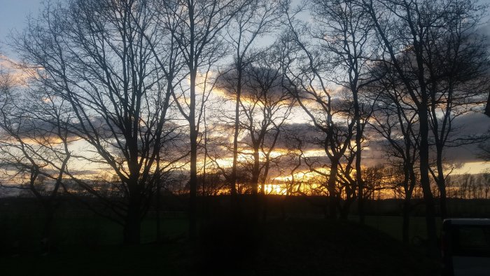 Solnedgång med silhuett av lövträd och en del av en parkerad bil i förgrunden.