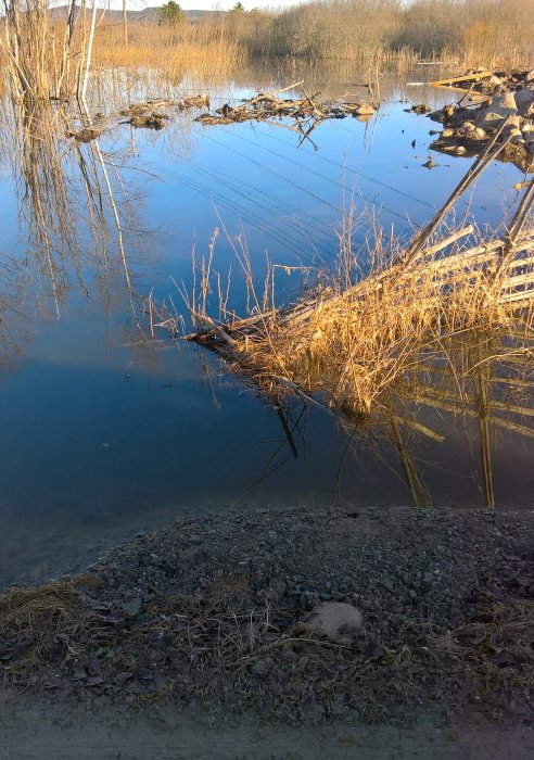 Vattenansamling intill en väg med spegling av träd och klart blå himmel på morgonen.
