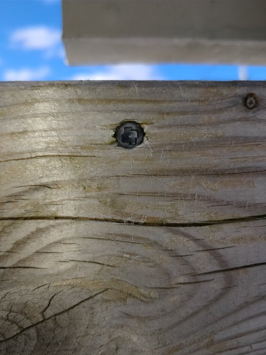 Närbild på en ovanlig skruv i träspaljé, möjligtvis med säkerhetsspår.