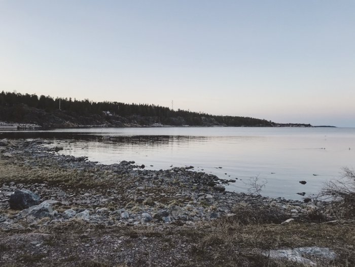 Kustlandskap vid skymning med stilla vatten och stenig strandlinje.