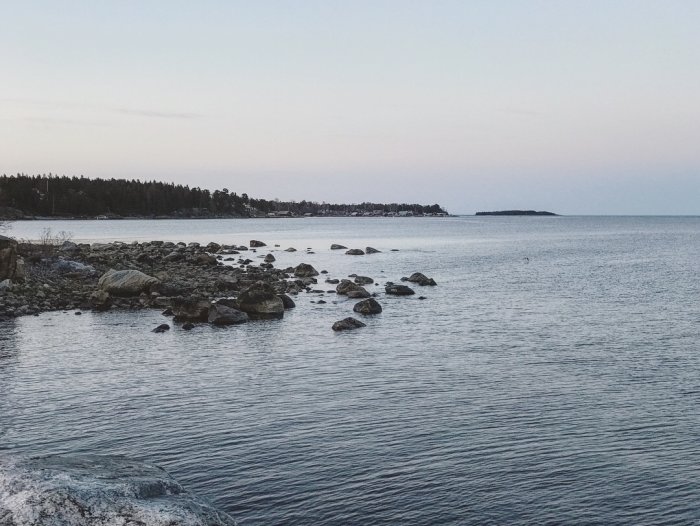 Kustlandskap med stenig strand och havet i skymningen, träd i bakgrunden.