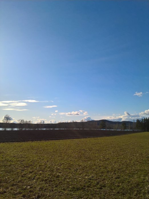 Kvällssol över ett öppet landskap med fält framför en lugn vattensamling och skog i bakgrunden.