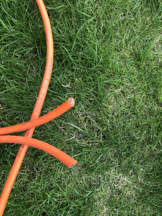 En orange förlängningssladd avklippt i gräset.