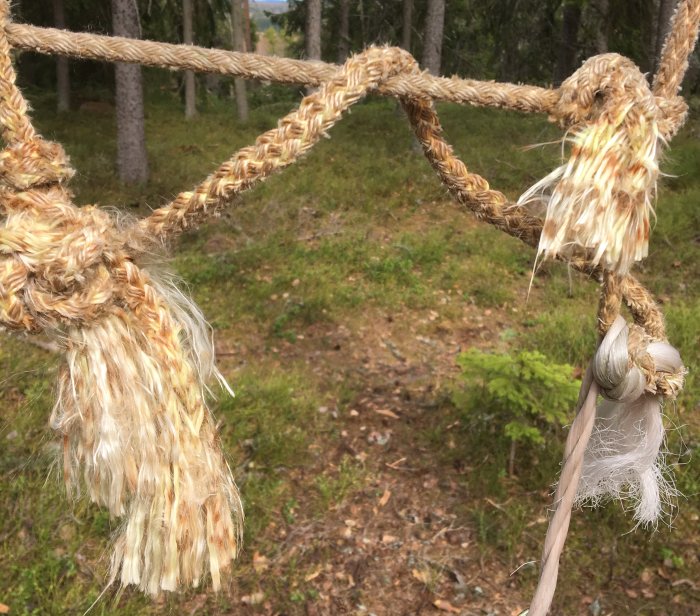 Flätade rep av naturlig fiber med synligt slitage, upphängda i skogsmiljö.