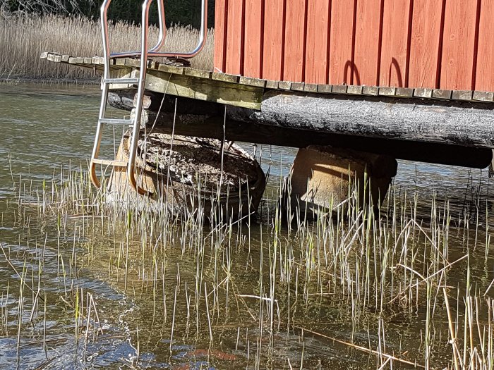 Skadade cementringar under ett båthus, omgivna av is-skador, vatten och vass.