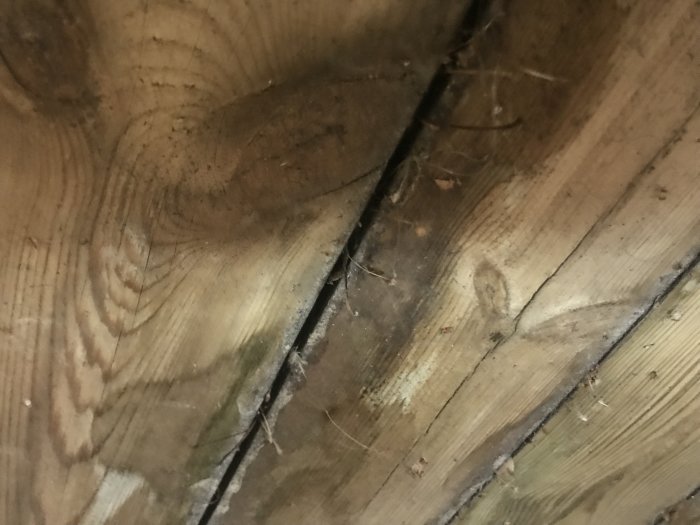 Möjliga mögelspår på träbjälke under hus, vita fläckar synliga nära bildens mitt/vänstra del.