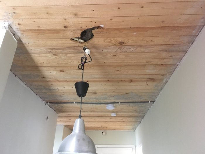 Träspont i tak med synliga reglar och elinstallation, murstockshörn syns till vänster.