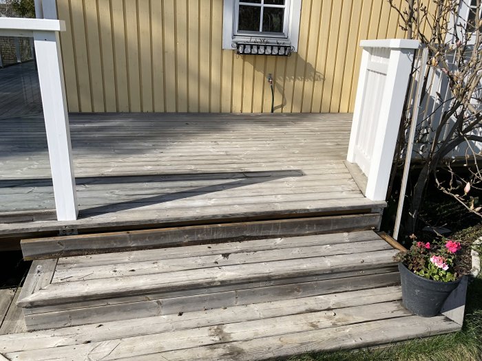 Trädäck vid gult hus som har såpats med linoljesåpa, med synliga penseldrag och en kruka med rosa blommor vid trappan.