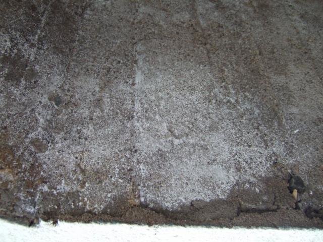 DSCF2003.jpg