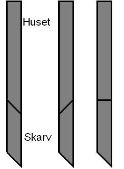 skarv.JPG