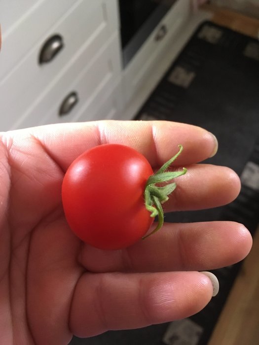Mogen röd tomat hålls i handen med köksinredning i bakgrunden.