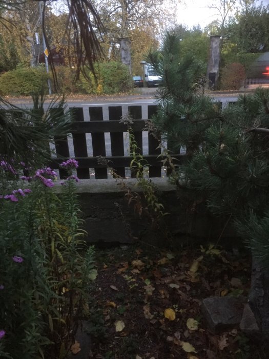 Gammal mur som stöttas av trästöttor vid en tomt med höjdskillnad mot en kommunal väg.
