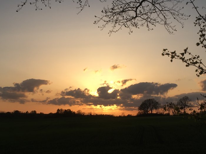 Solnedgång över ett öppet fält i Skåne med dramatiskt molnigt himmel och konturer av träd.