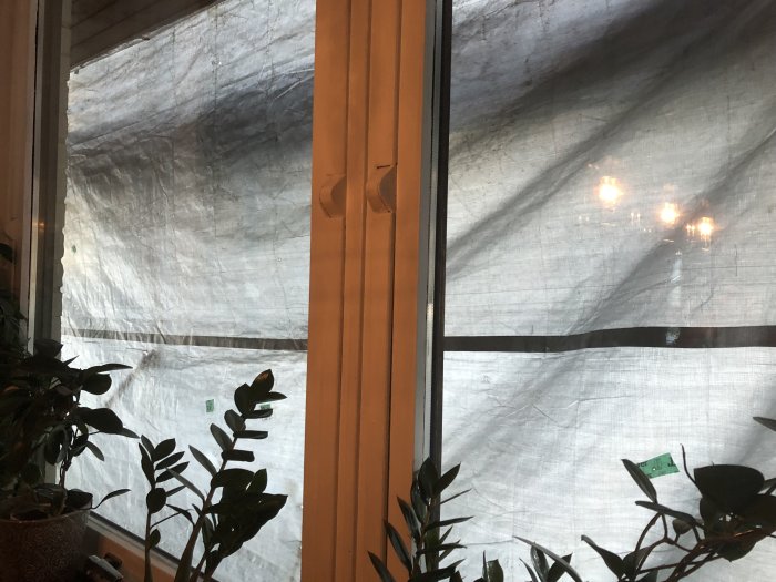 Utsikt från ett köksfönster skymd av ett byggnadsställningsskydd med växtligheter i förgrunden.