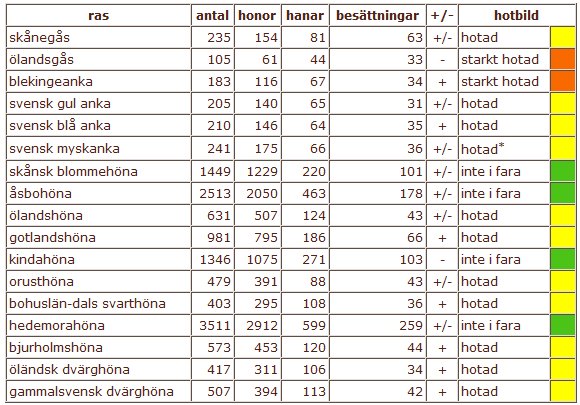 Tabell över olika hönsraser med antal honor, hanar, besättningar, status och hotbild med färgkodning.