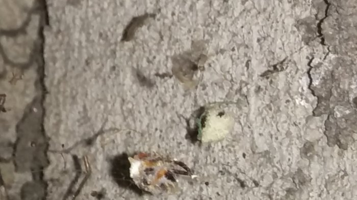 Närbild på sprucken betongyta med synliga grova aggregat och små orenheter.