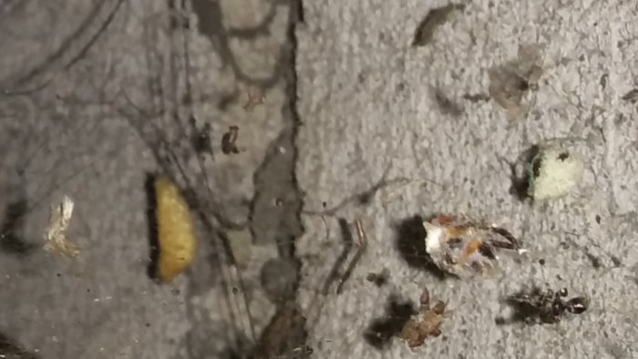 Närbild på en betongyta med sprickor och inbäddade fragment av olika material.