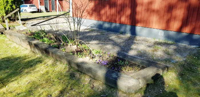 Välstädad rabatt med blommor och grönska framför rödmålat hus, soligt väder.