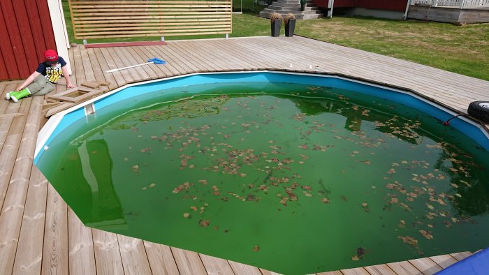 Ogrädd pool med algblomning och nedfallna löv, och ett barn som sitter på trädäck.