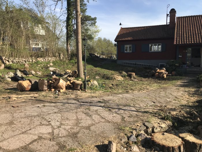 Trädgård med nyligen fällda tallar och stubbar framför ett rött hus med stenstödmur.