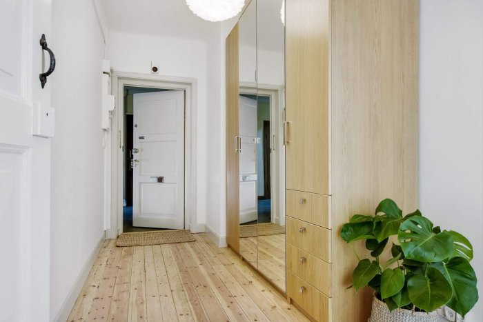 Renoverad hall med ljusa väggar, trägolv, garderob med spegeldörr och en grön växt.