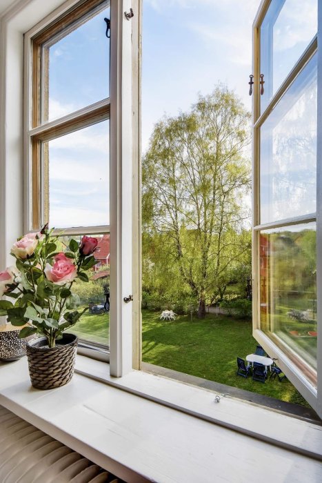 Nyrenoverat fönster med utsikt över en vårig trädgård, kruka med rosor på fönsterbrädan inomhus.