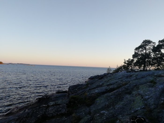 Kvällshimlen med utsikt över havet från en klippa med silhuetter av träd mot en klar himmel.