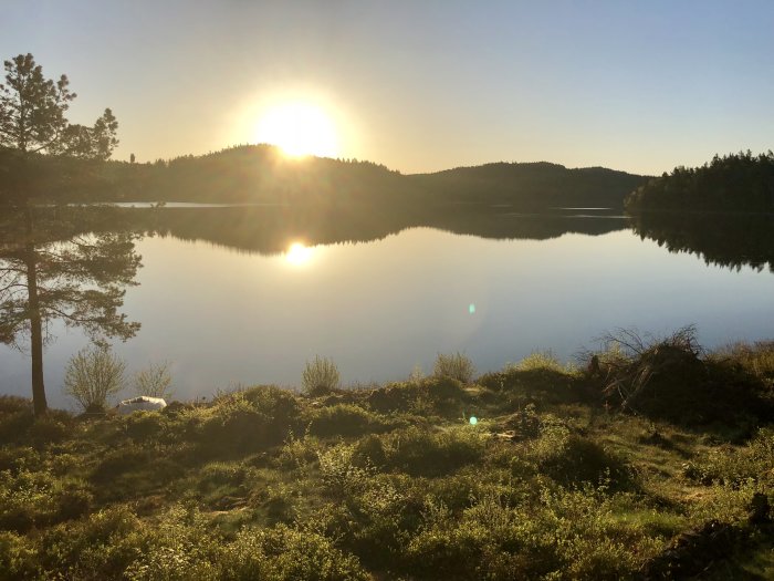 Soluppgång över en stilla skogssjö sedd från en blivande uteplats.