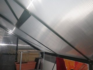 Polykarbonattak på växthus med synligt metallstomme och inredningsdetaljer underifrån.