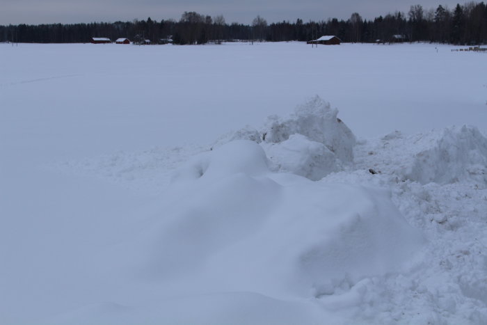 Stor snöhög på ett vitt fält med en skymt av röda lador i bakgrunden.