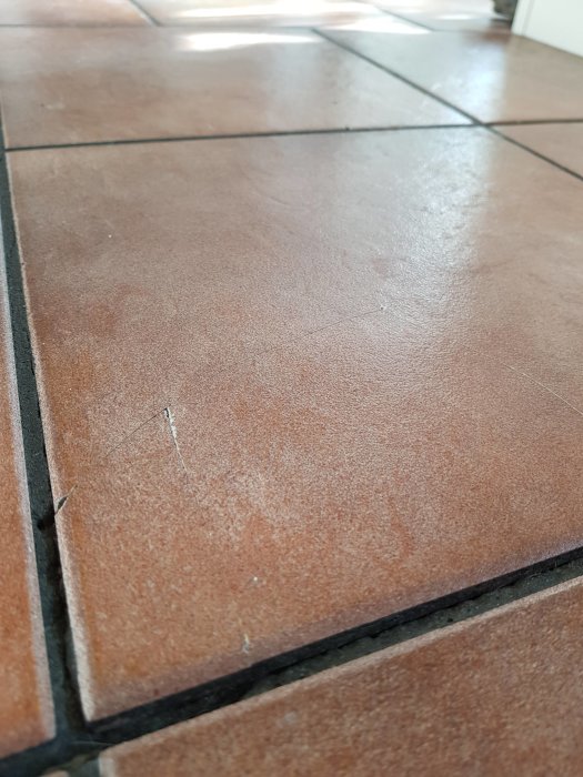 Sprucken terrakottafärgad kakelplatta med saknad fog i en vältrafikerad köksmiljö.