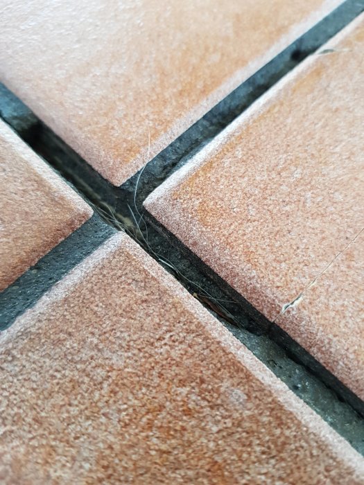 Närbild av tre spruckna terrakottafärgade golvplattor med delvis försvunnen fog emellan.