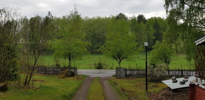 Vy av en lantlig trädgård med grusgång, grön gräsmatta, träd och ett staket, dimmig landsbygdsbakgrund.