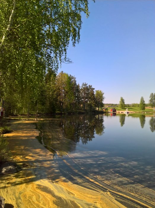WP_20180515_10_49_21_Pro_LI.jpg