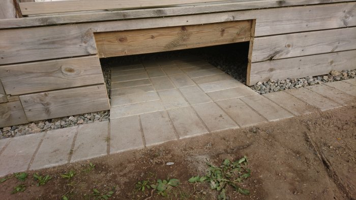 DSC_1155.JPG