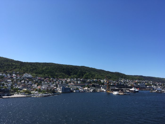 08031DC3-3EEA-4CA6-A284-4BBE15F947EC.jpeg