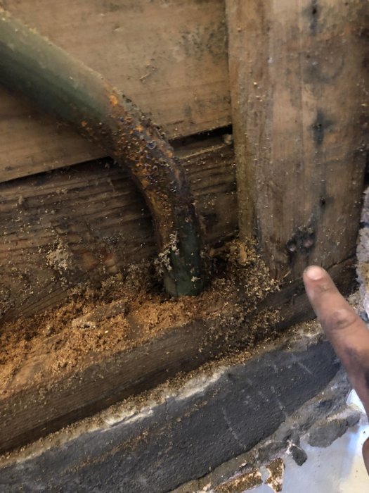 Ett finger pekar på mögelpåväxt och vattenskador vid basen av en innervägg och rör i en källartrappa.