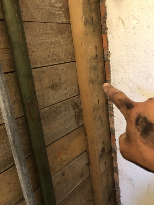 Närbild av skadad innervägg med synlig mögelpåväxt på träreglar och finger som pekar för skala.