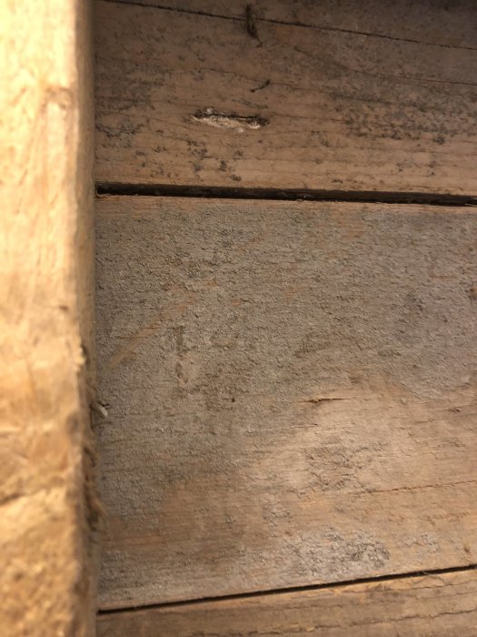 Närbild av misstänkt mögelpåväxt på gammal trävägg i ett hörn, med slitage och fläckar.