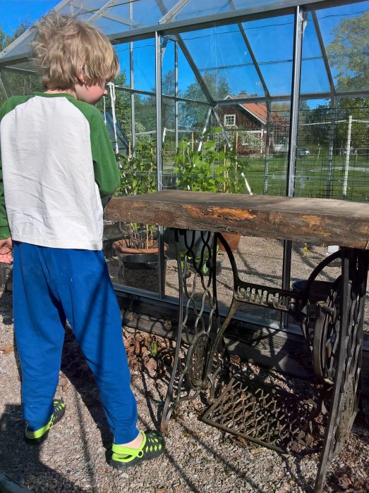 Barn iklädd grönt och blått beundrar växter i växthus.