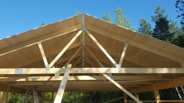 Trästommen på ett hus under konstruktion med nylagd råspont och takstolar synliga mot en klarblå himmel.